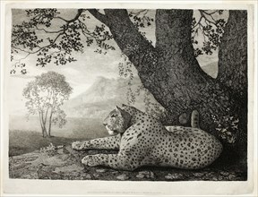 A Tyger (A Recumbent Leopard by a Tree), May 1, 1788. Creator: George Stubbs.