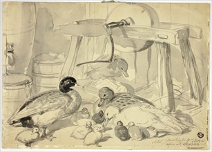 Ducks, Ducklings and Grindstone, n.d. Creator: John Frederick Herring I.