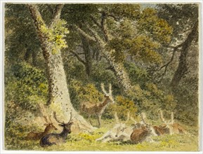 Deer Herd Resting, 1789-1844. Creator: Robert Hills.
