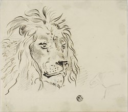 Lion's Head, n.d. Creator: Sawrey Gilpin.