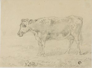 Cow, n.d. Creator: Sawrey Gilpin.