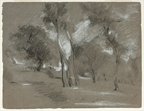 Landscape with Trees, n.d. Creator: Jean-Baptiste Carpeaux.