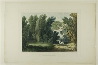 View of the Spot Where General Ross Fell, Near Baltimore, plate six of the first number..., 1819/21. Creator: John Hill.