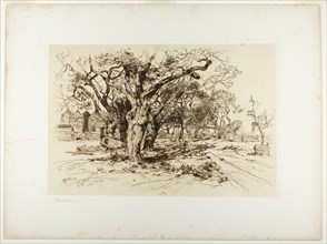 Mulford's Orchard, Easthampton, 1883. Creator: Thomas Moran.