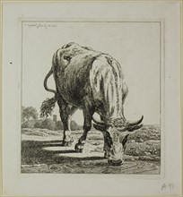 Cow Drinking, from Die Zweite Thierfolge, 1800. Creator: Johann Christian Reinhart.