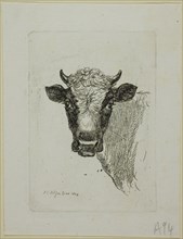 Head of a Young Bull, from Die Zweite Thierfolge, 1803. Creator: Johann Christian Reinhart.