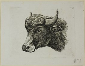 Buffalo Head Facing Left, from Die Zweite Thierfolge, 1799/1803. Creator: Johann Christian Reinhart.