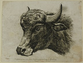 Buffalo Head Facing Left, from Die Zweite Thierfolge, 1799/1803. Creator: Johann Christian Reinhart.
