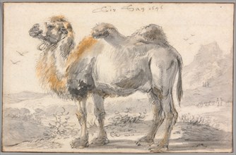A Camel, 1646. Creator: Cornelis Saftleven.