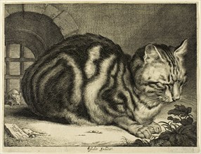 The Large Cat, 1657. Creator: Cornelis de Visscher.