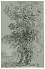 Road Past Trees, n.d. Creator: Pieter Gaal.