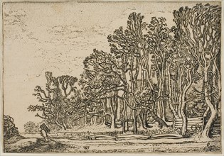 Landscape with Plank-Hedges and Man Bearing Wood, 1621. Creator: Willem Pietersz. Buytewech.