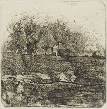 Trees in a Meadow, n.d. Creator: Giovanni Fattori.