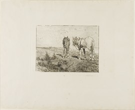 Horses' Rest, c.1885. Creator: Giovanni Fattori.