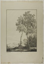 Plate 25 from Blatt Baum und Landschafts Studien, c.1810. Creator: Lorenz Ekemann Alesson.