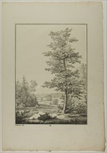 Plate 29 from Blatt Baum und Landschafts Studien, c.1810. Creator: Lorenz Ekemann Alesson.