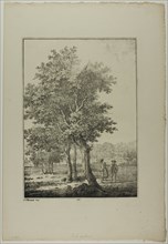 Plate 33 from Blatt Baum und Landschafts Studien, c.1810. Creator: Lorenz Ekemann Alesson.