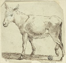 Donkey, n.d. Creator: Unknown.