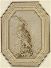 Bird on a Branch, ca. 1470-1480. Creator: Mantegna, Andrea (1431-1506).