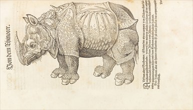 Rhinoceros. From Historia animalium, 1551-1558. Creator: Gesner (Gessner), Conrad (Konrad) (1516-1565).