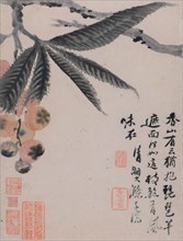 Vegetables and Fruits, End of 17th-Early 18th cen. Creator: Shitao (Zhu Ruoji) (1642-1707).