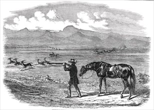 Springbok Hunting in South Africa, 1850. Creator: Unknown.