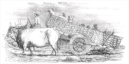 Gujerat Village-Cart, 1850. Creator: Unknown.