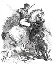 Killing a "Boomer", 1850. Creator: Unknown.