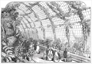 The Great Conservatory in the Gardens of the Horticultural Society, at Chiswick, 1850. Creator: Unknown.