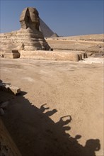 Sphinx, Giza, Egypt, 2007. Creator: Ethel Davies.