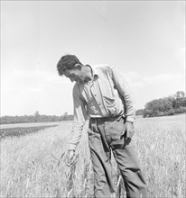 Member of the farming group on the project - Polish-Jewish born, Hightstown, New Jersey, 1936. Creator: Dorothea Lange.