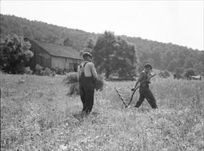 Men cradling wheat in eastern Virginia near Sperryville, 1936. Creator: Dorothea Lange.