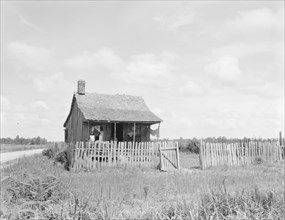 Plantation cotton cabin (Negro), Mississippi Delta, near Vicksburg, 1936. Creator: Dorothea Lange.