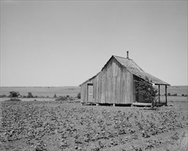 The cotton lands of Ellis County, Texas, 1937. Creator: Dorothea Lange.