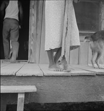 Front porch of sharecropper's cabin, Coahoma County, Mississippi, 1937. Creator: Dorothea Lange.