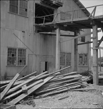 Lumber mill which is being dismantled at Careyville, Florida, 1937. Creator: Dorothea Lange.