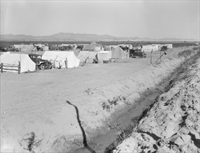 Grower's camp for pickers on large pea ranch..., near Calipatria, Imperial Valley, California, 1939. Creator: Dorothea Lange.