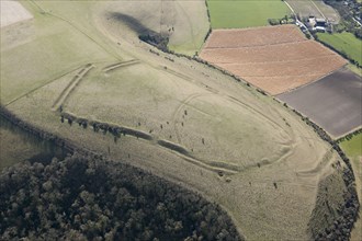 Iron Age univallate hillfort earthwork on Winklebury Hill, Wiltshire, 2016. Creator: Damian Grady.