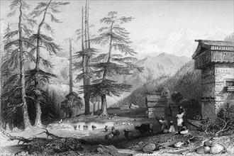 'Village of Koghera & Deodar Forest', 1845. Creator: Unknown.