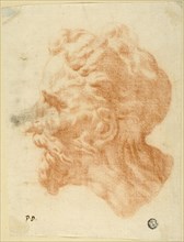 Head of Bearded Man in Profile to Left, n.d. Creator: Pietro Dandini.