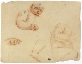 Sketches of a Child:  Half-Length, Torso, Foot, Hand, 1700/1799. Creator: Unknown.