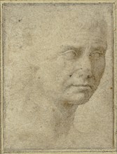 Head of a Man in Three-quarters Profile, n.d. Creator: Unknown.