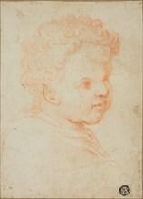 Head of a Child, 1550/59. Creator: Unknown.