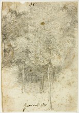 Grove of Trees, 1600/12. Creator: Federico Barocci.