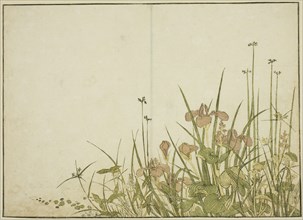 Summer Flowers: Irises and Water Plantains, from the book "Mirror of Beautiful Women..., 1776. Creator: Shunsho.