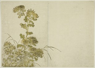 Winter Flowers: Chrysanthemums, from the book "Mirror of Beautiful Women of the Pleasure..., 1776. Creator: Shunsho.
