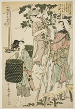 No. 2 (ni), from the series "Women Engaged in the Sericulture Industry (Joshoku kaiko...c.1798/1800. Creator: Kitagawa Utamaro.