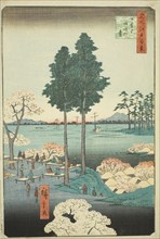 Suwa Bluff at Nippori (Nippori Suwanodai), from the series "One Hundred Famous Views..., 1856. Creator: Ando Hiroshige.
