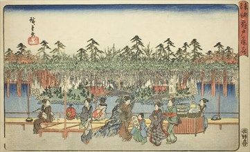Wisteria at Kameido (Kameido Tenjin fuji hana), from the series "Famous Places in the...", c1839/42. Creator: Ando Hiroshige.