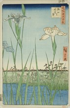 Irises at Horikiri (Horikiri no hanashobu), from the series "One Hundred Famous Views..., 1857. Creator: Ando Hiroshige.